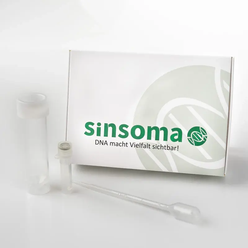 Honig DNA-Trachtanalyse – Sinsoma Test-Kit für Imker