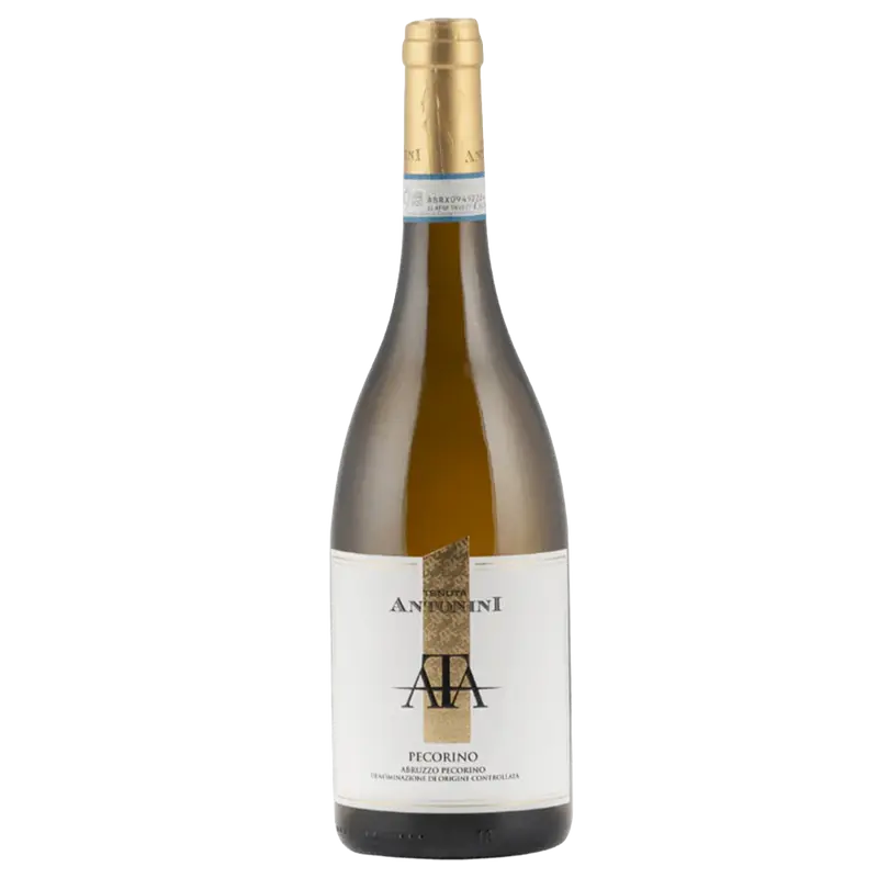 Hydria Pecorino 2025 DOC