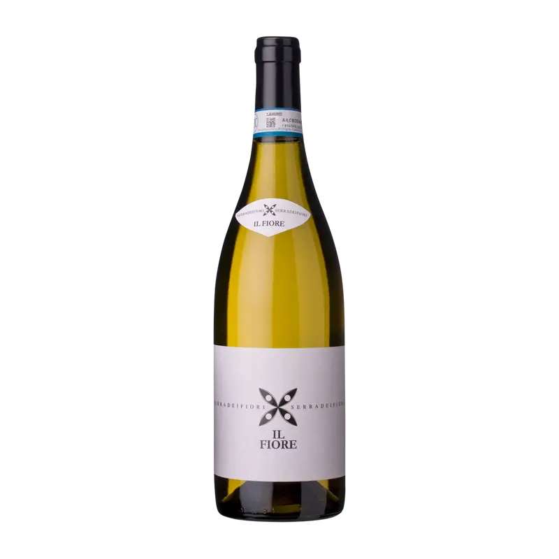 Il Fiore bianco 2024 Langhe DOC