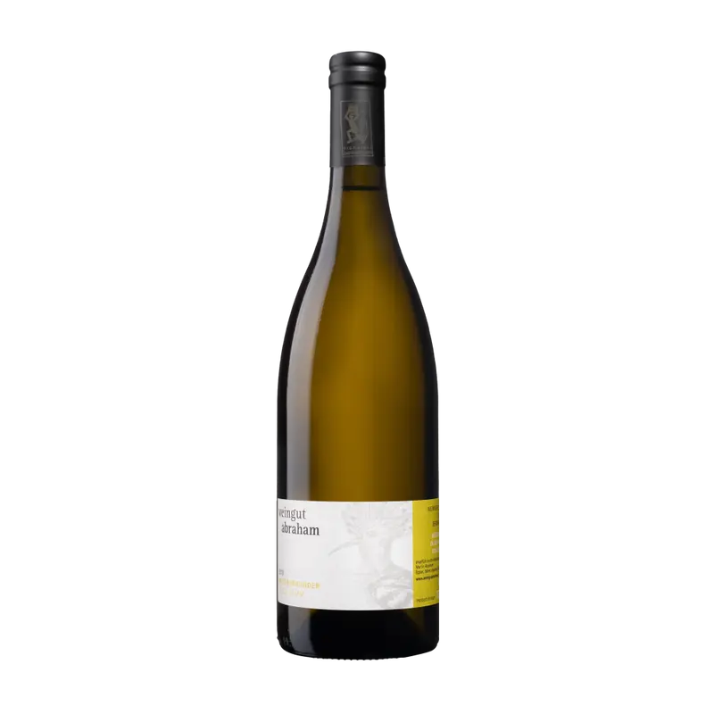 In der Lamm Weissburgunder 2024 Weinberg Dolomiten igt