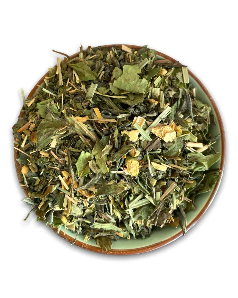 Ingwer küsst Minze Bio – Weißtee-Wellness mit Schärfe | Teemotion