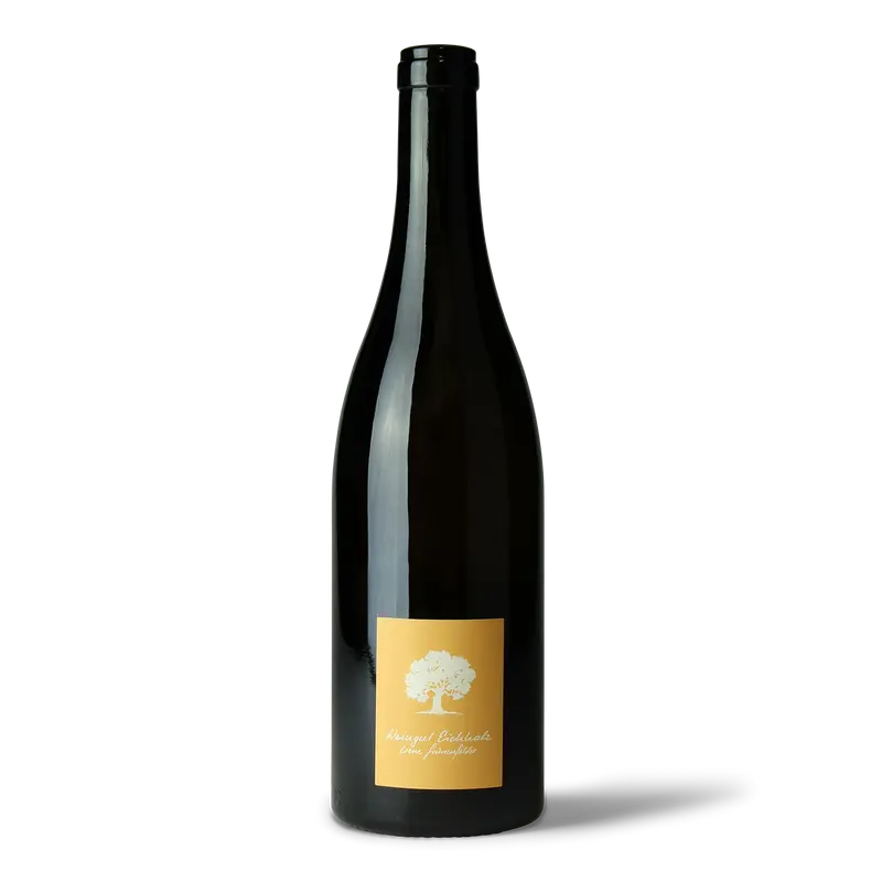 Irene Grünenfelder Jeninser Pinot Noir 2021