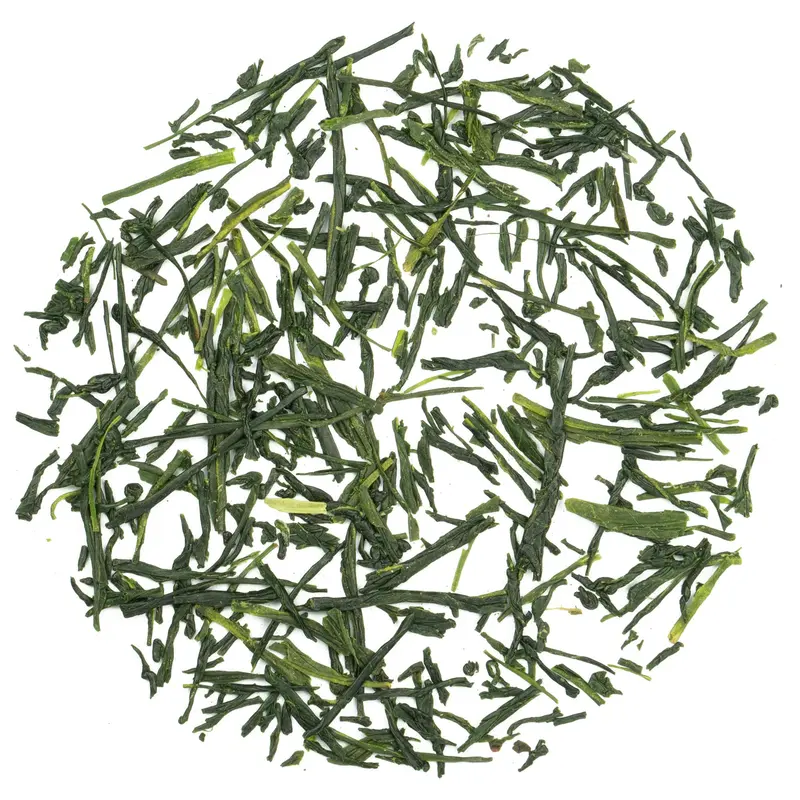 Japan Gyokuro Kusanagi Bio – Grüntee Rarität aus Japan 🍵 | Teemotion