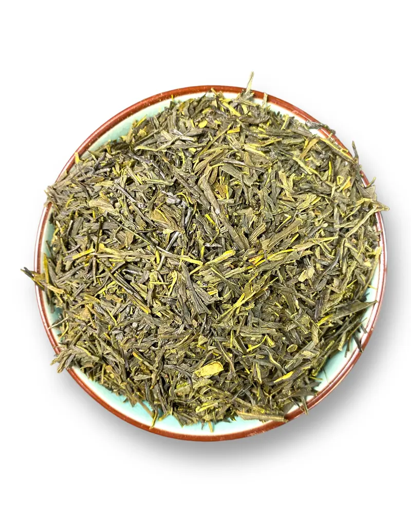 Japan Sencha Fukuoka Bio – Klassischer Grüntee aus Kyushu 🍵 | Teemotion