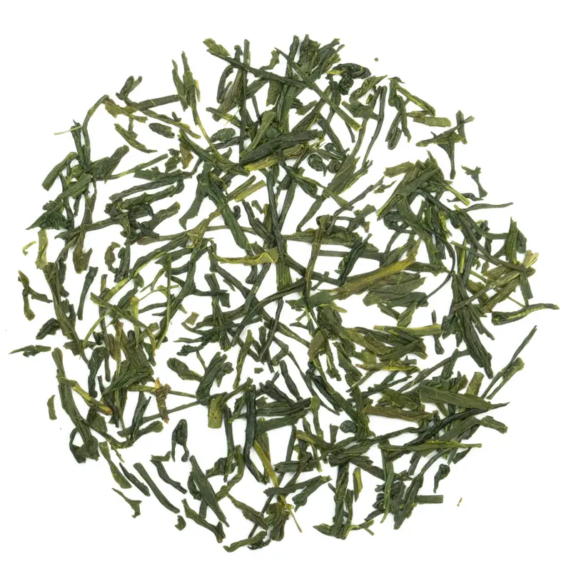 Japan Sencha Konomi Bio – Premium Grüntee Rarität 🍵 | Teemotion