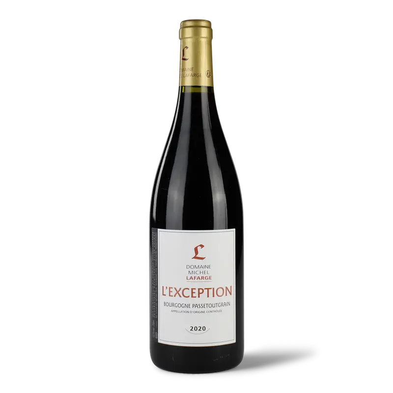 Jean-Marc Millot - Bourgogne Passetoutgrain "L' Exception" 2020