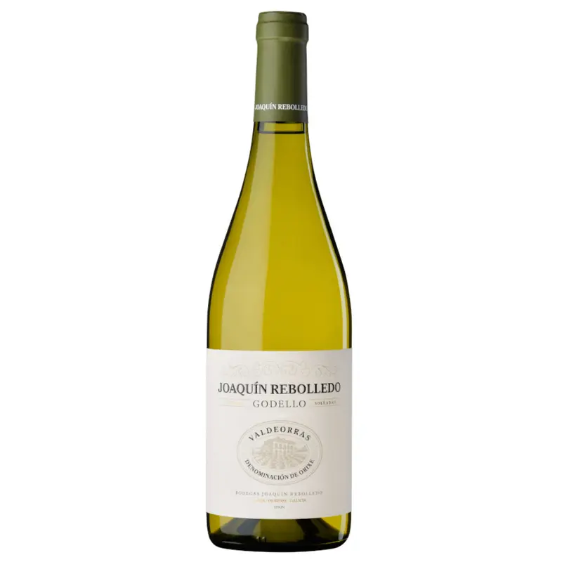 Joaquín Rebolledo Godello 2023