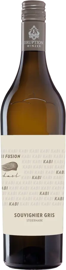KABI Fusion - Souvignier Gris 2024