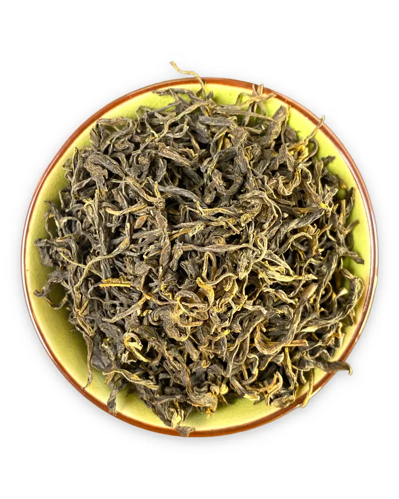 Kolumbien Green Emerald Bio – Grüntee aus dem Nebelwald der Anden | Teemotion