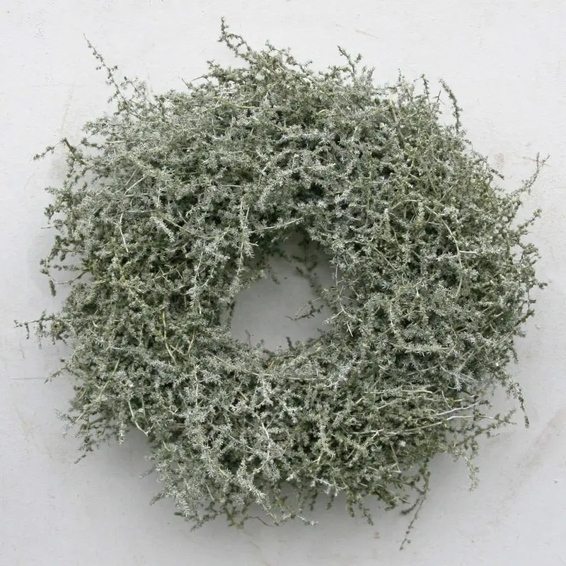 Kranz Asparagus olive D 45cm