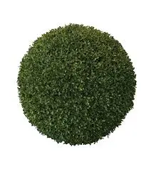 Kunst Buchs D 28cm
