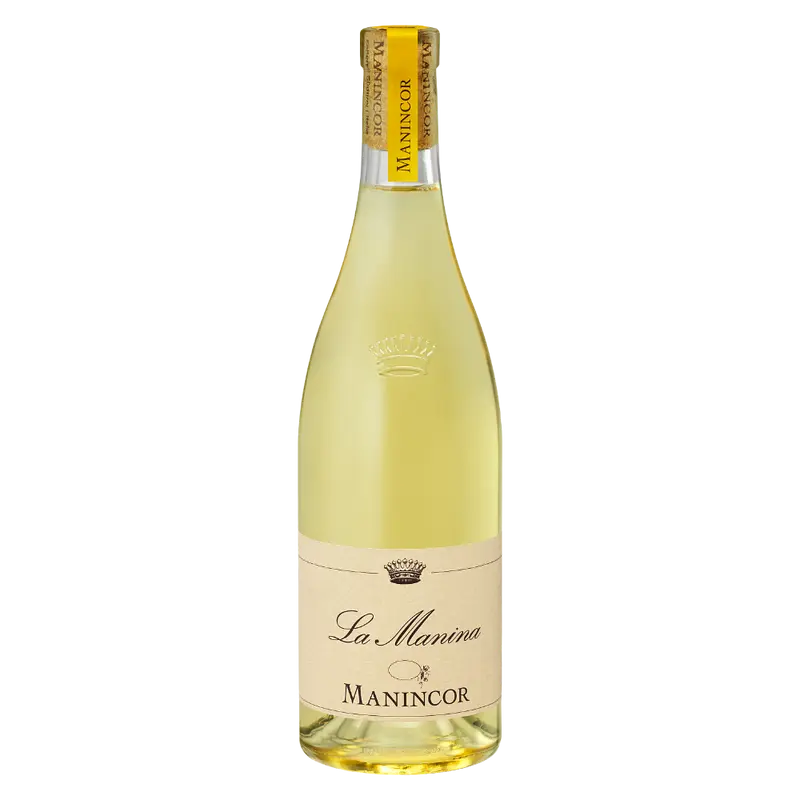 La Manina weiss 2024 Weinberg Dolomiten igt