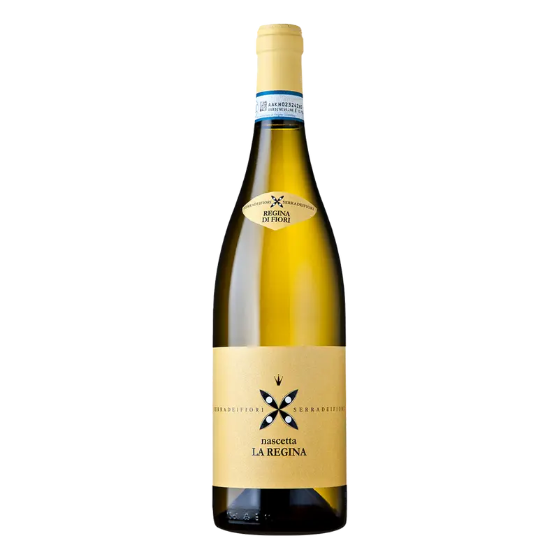 La Regina nascetta bianco 2024 Langhe DOC