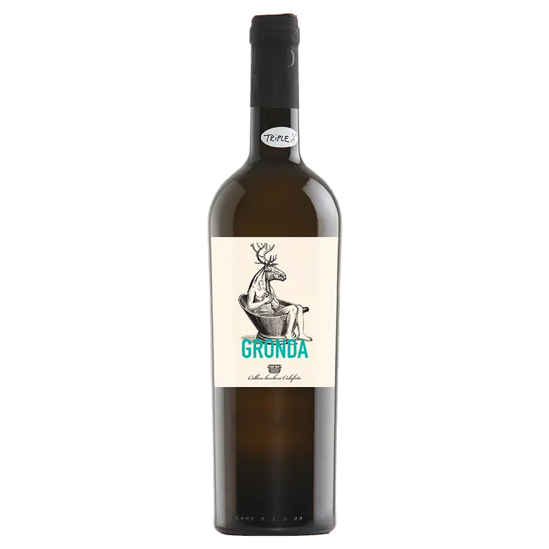 Levato di Gronda 2023 Toscana igt