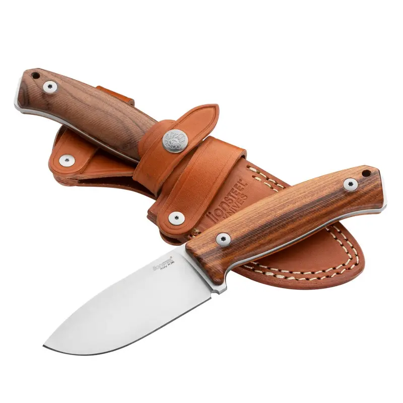 LIONSTEEL M2M Santos