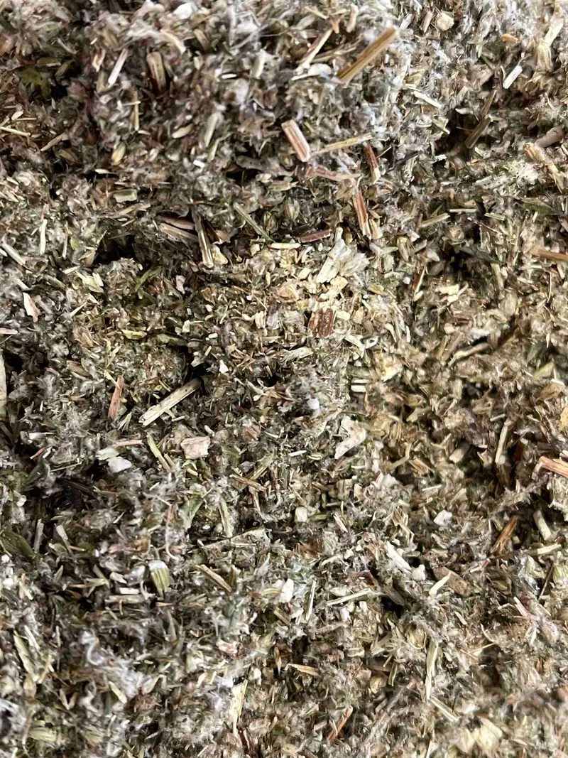 Lose Kräuter Beifusskraut geschnitten BIO