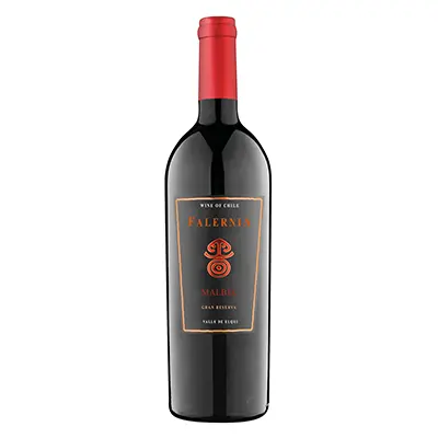 Malbec Gran Reserva - D.O. Elqui Valley, Falernia