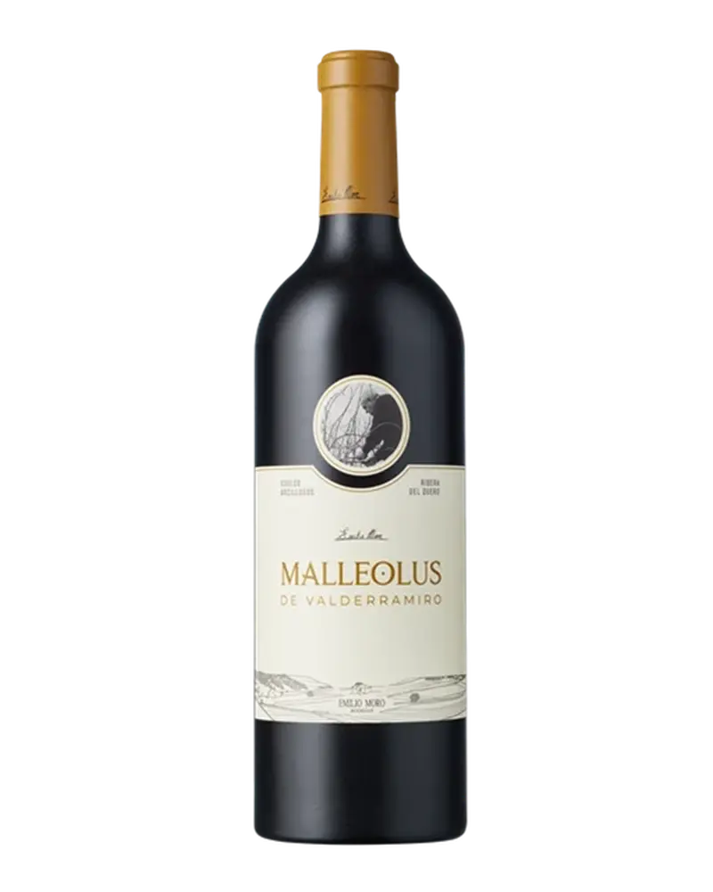 Malleolus de Valderramiro 2021