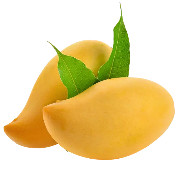 Mango Chausa - 1 kg