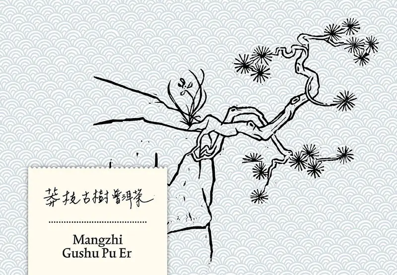 Mangzhi Gushu Puer 2021
