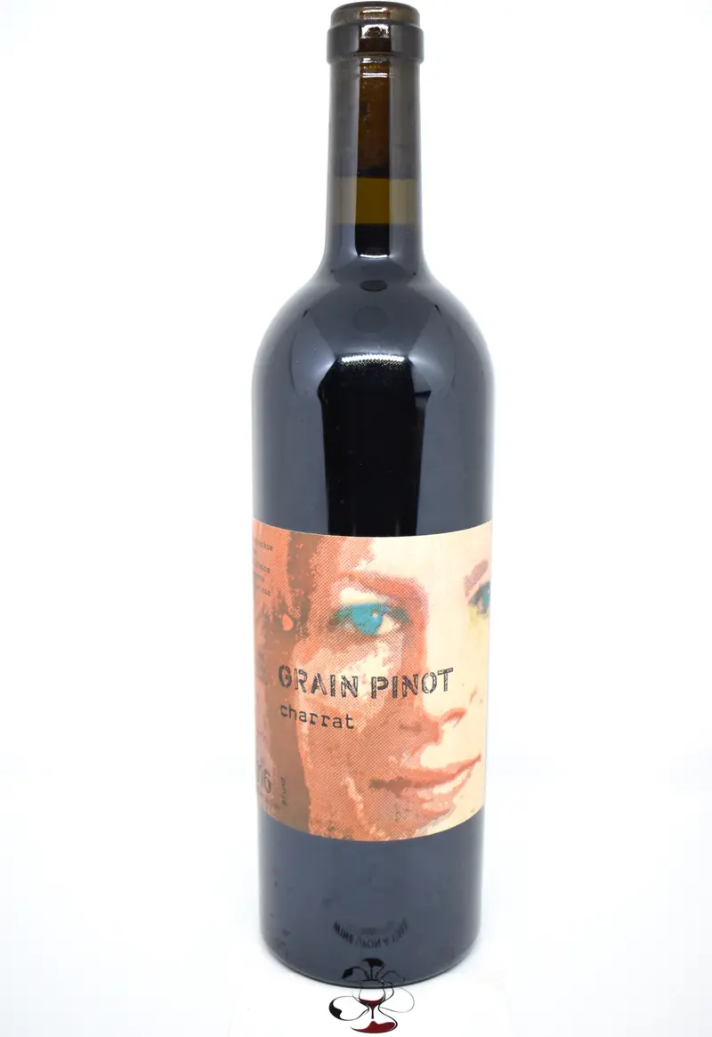 Marie-Thérèse Chappaz - Grain Pinot Charrat 2016 - Fully