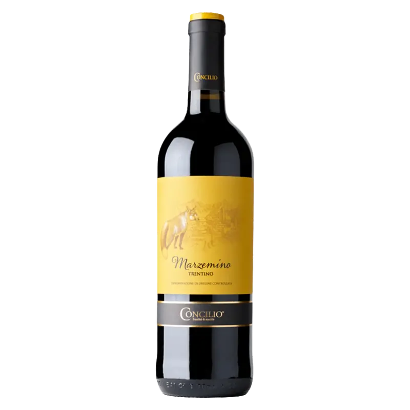 Marzemino 2023 Trentino DOC