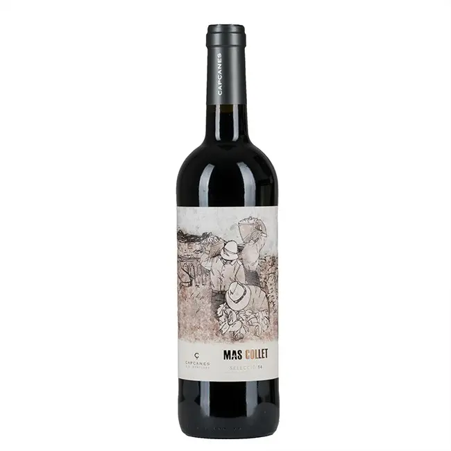 Mas Collet Tinto Cosecha DO