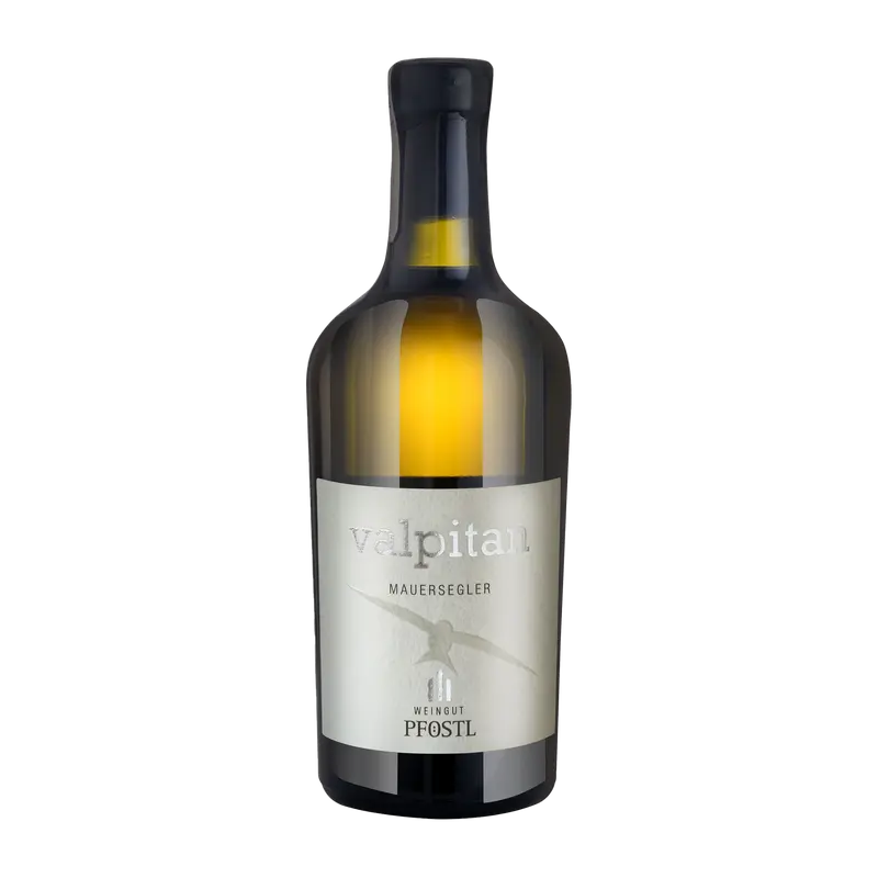Mauersegler Valpitan Likörwein