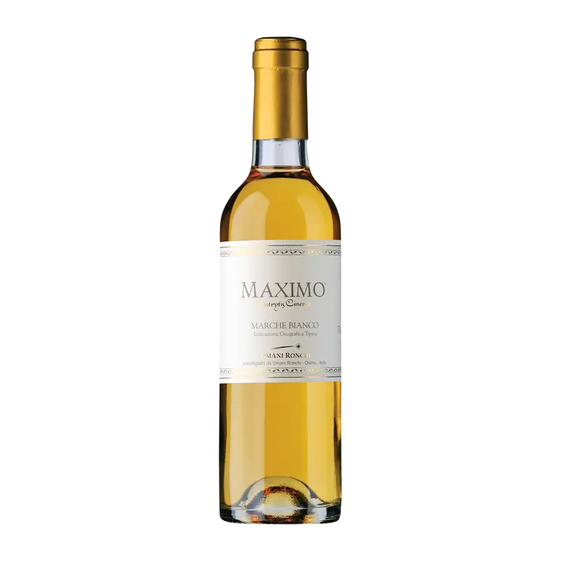 Maximo Botrytis cinerea 2023 Marche igt