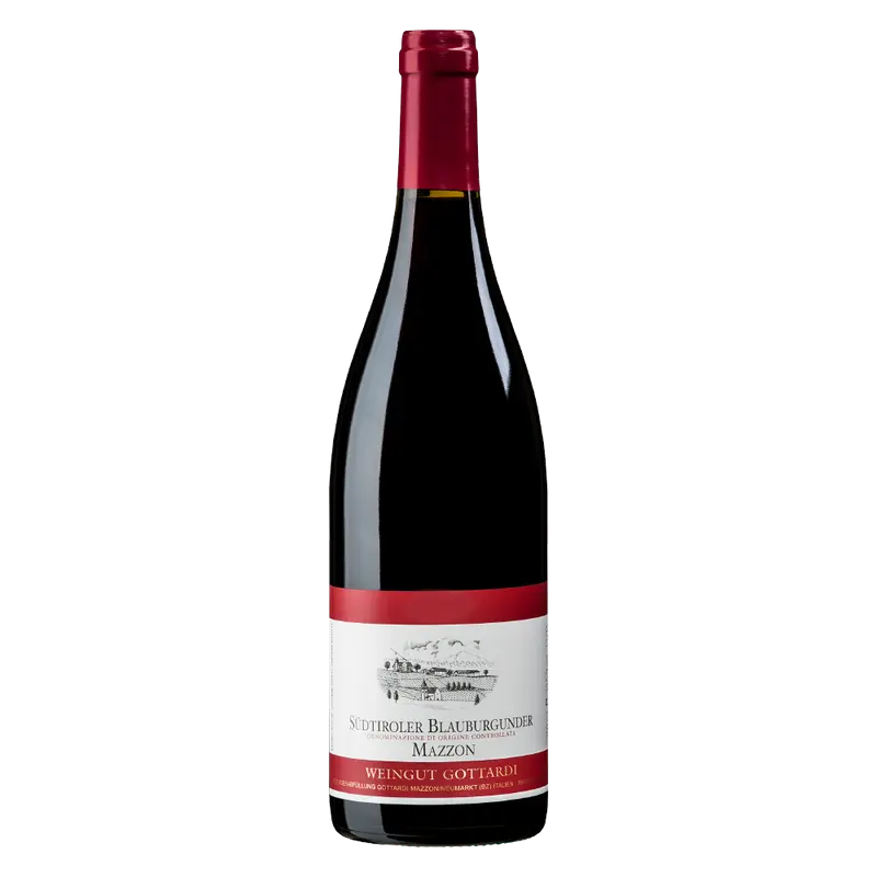 Mazzon Blauburgunder 2021 Südtirol DOC