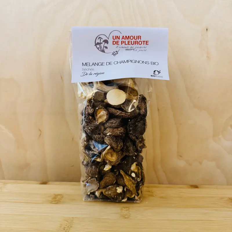 Mélange de champignons séchés BIO