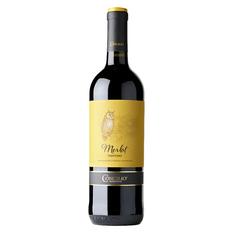 Merlot 2021 Trentino DOC