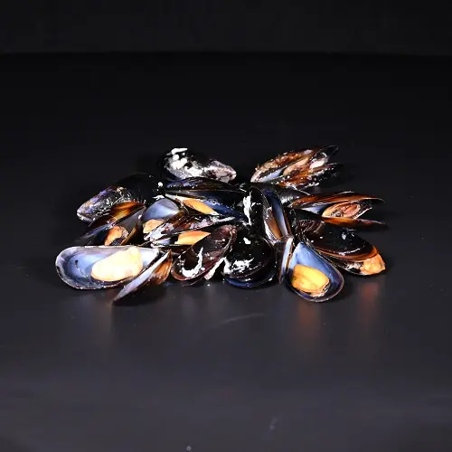 Miesmuscheln | frisch | 1 kg