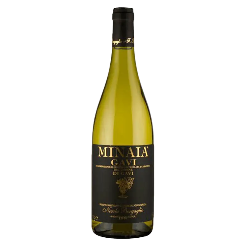 Minaia 2024 Gavi di Gavi DOCG