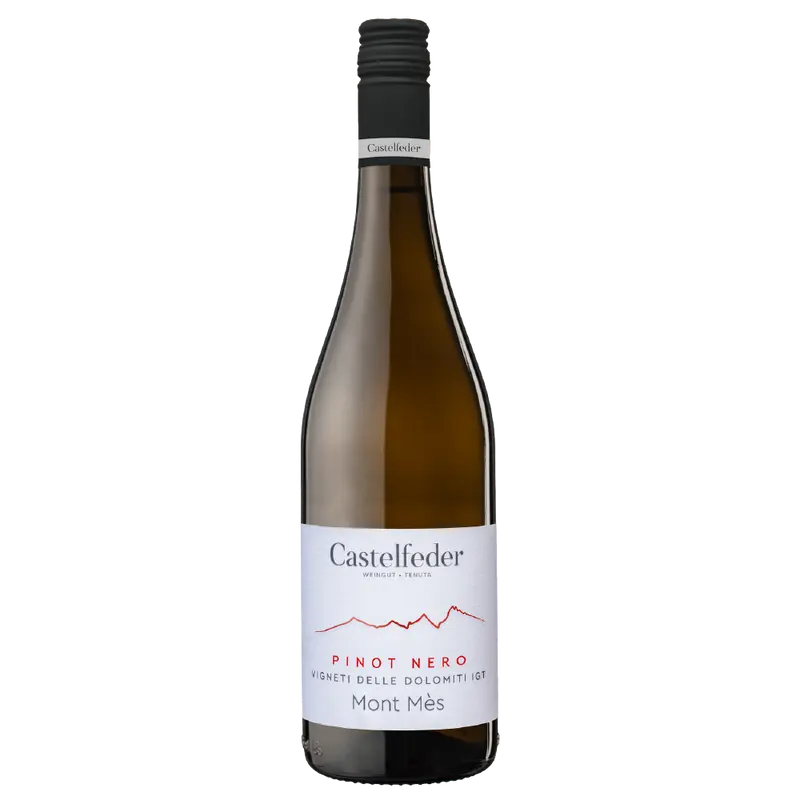 Mont Mès Blauburgunder 2023 Weinberg Dolomiten igt