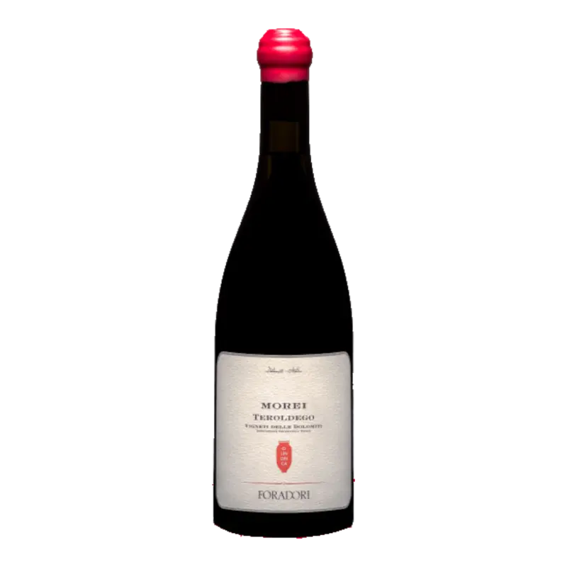 Morei Cilindrica Teroldego 2022 Weinberg Dolomiten igt