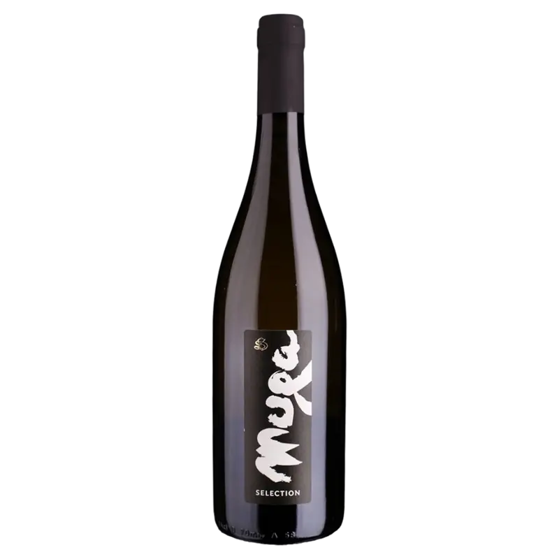 Muga Grüner Veltliner 2024 Mitterberg igt