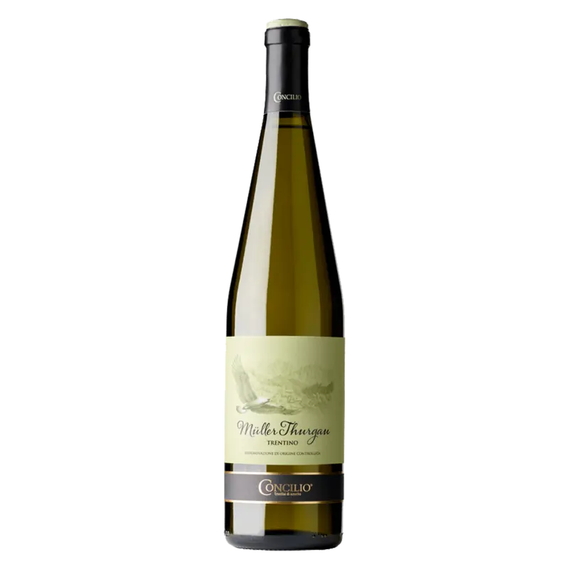 Müller Thurgau 2022 Trentino DOC