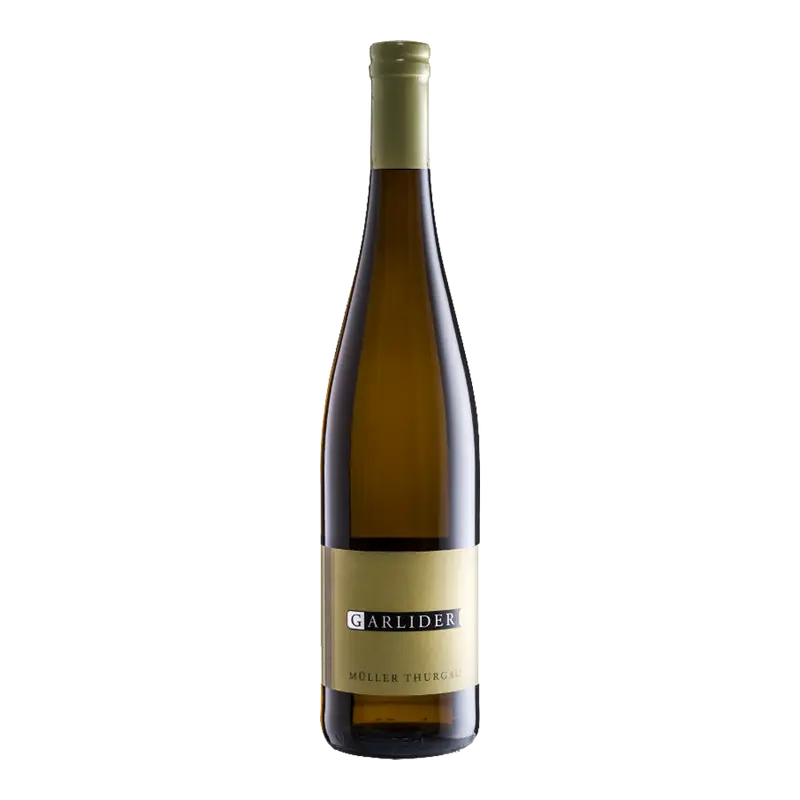 Müller Thurgau 2022 Weinberg Dolomiten igt