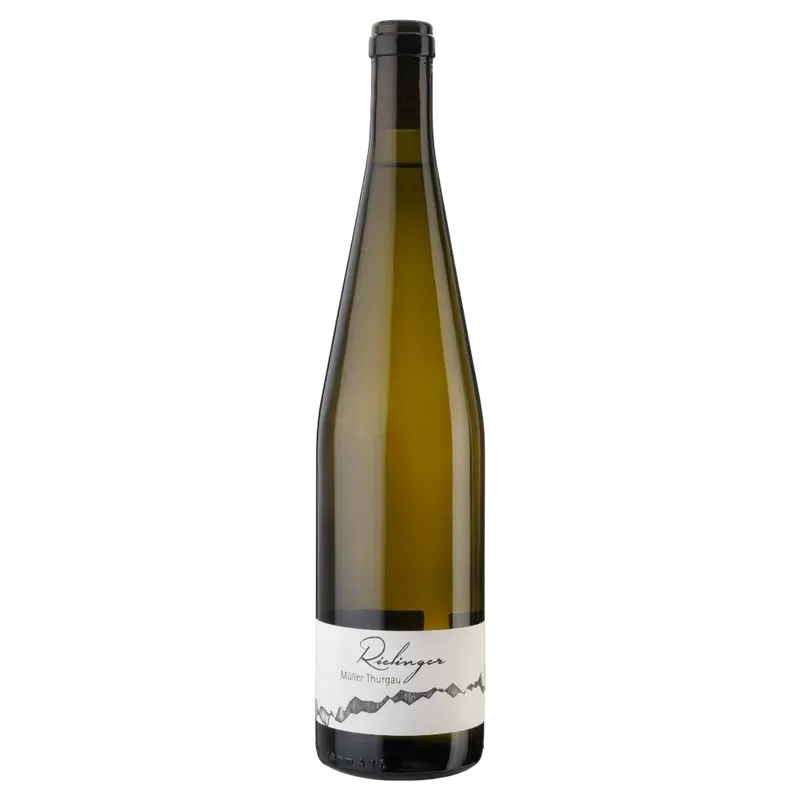 Müller Thurgau 2023 Weinberg Dolomiten igt