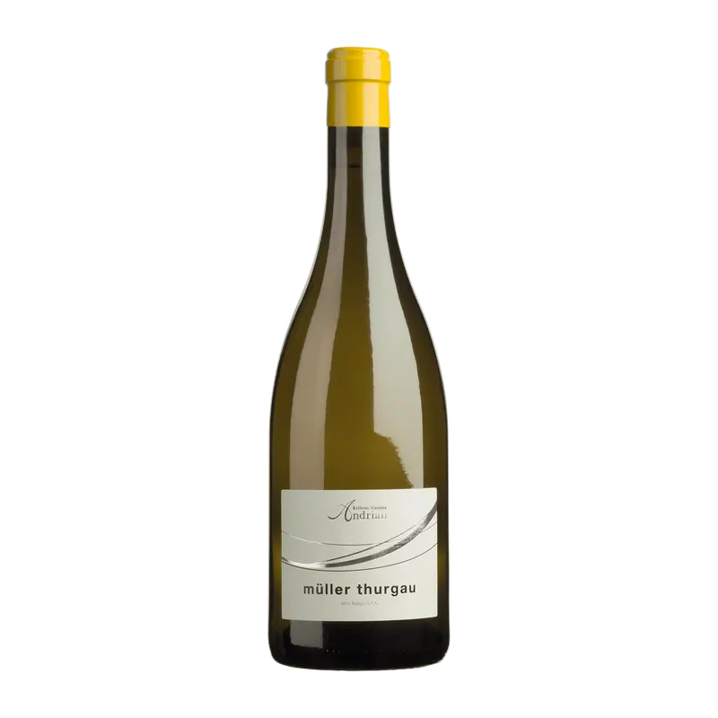 Müller Thurgau 2024 Südtirol DOC