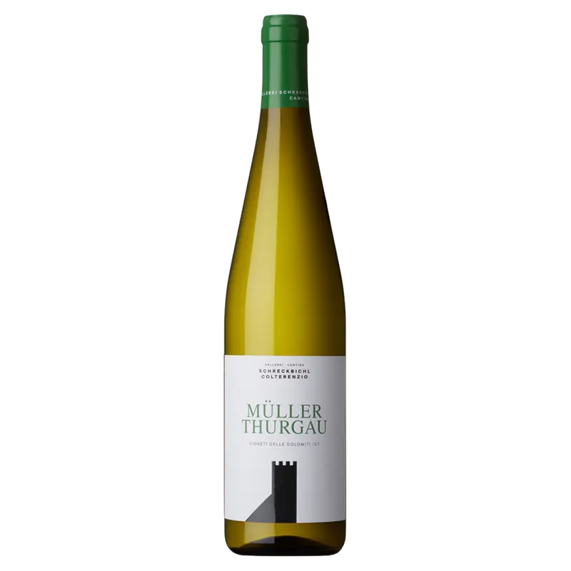 Müller Thurgau 2024 Weinberg Dolomiten igt