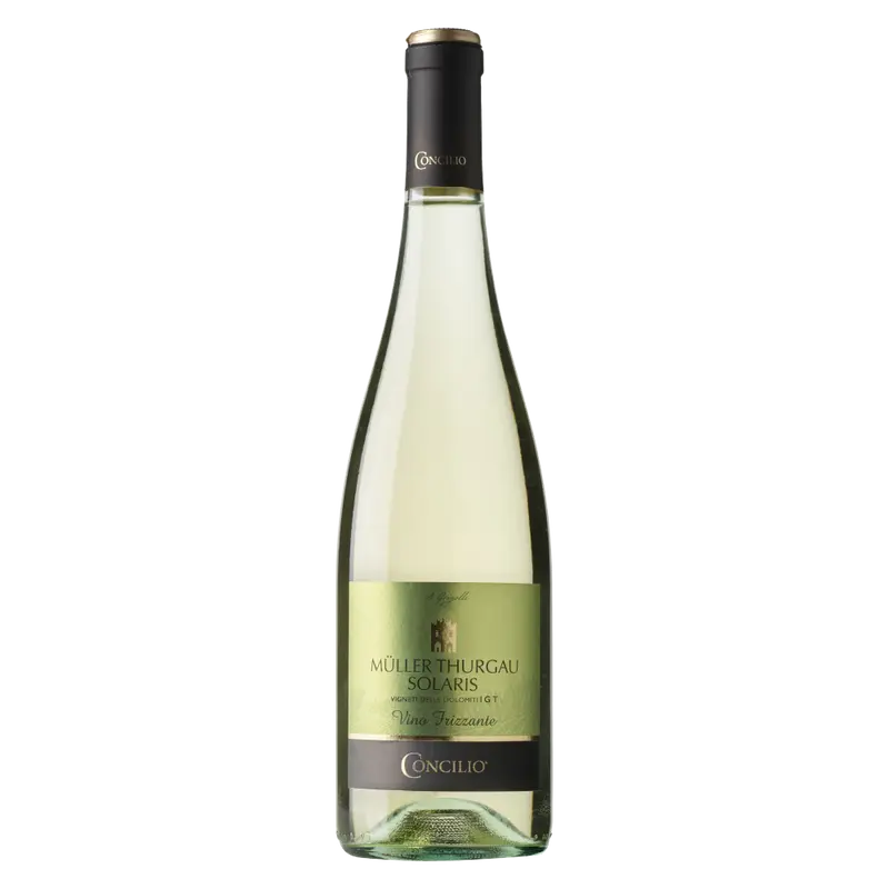 Müller Thurgau frizzante 2022 Weinberg Dolomiten igt