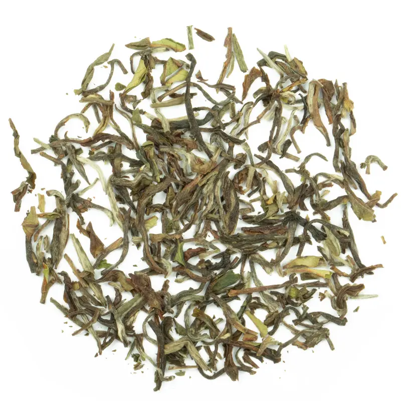 Nepal Himalayan FTGFOP1 Orange Hill Bio – Oolong-Rarität aus dem Jun Chiyabari Garten | Teemotion