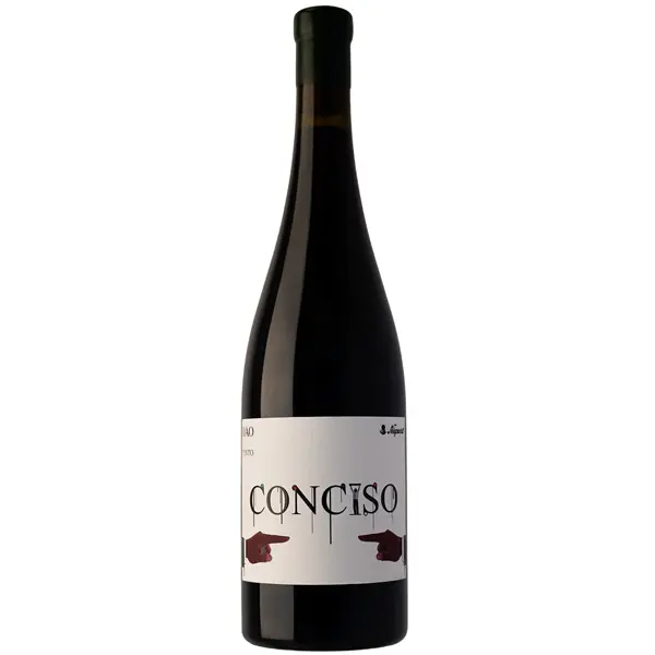 Niepoort Conciso Tinto Dão DOC 2022 - 75cl