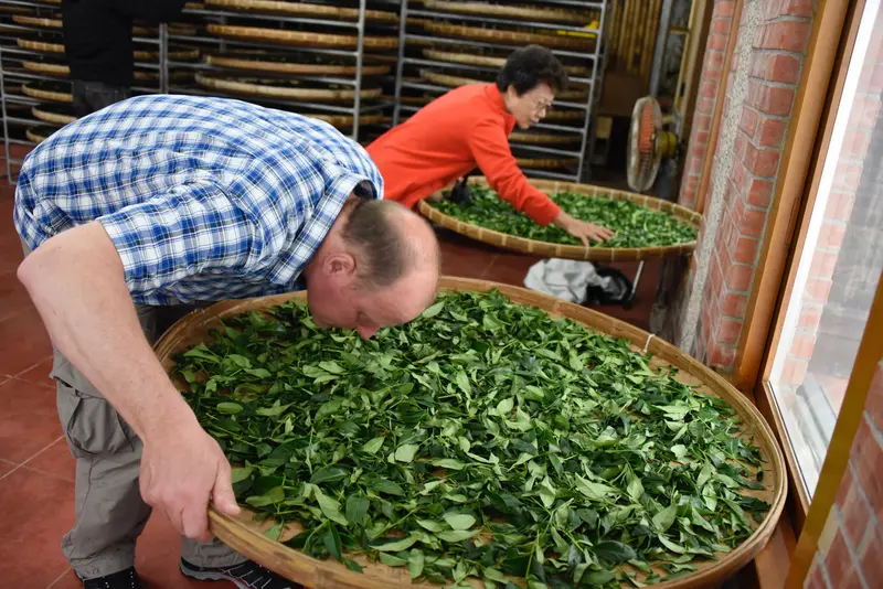 Oolong Teeseminar2024