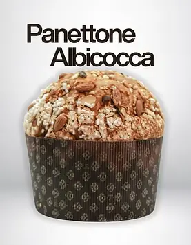 Panettone Albicocca 1kg