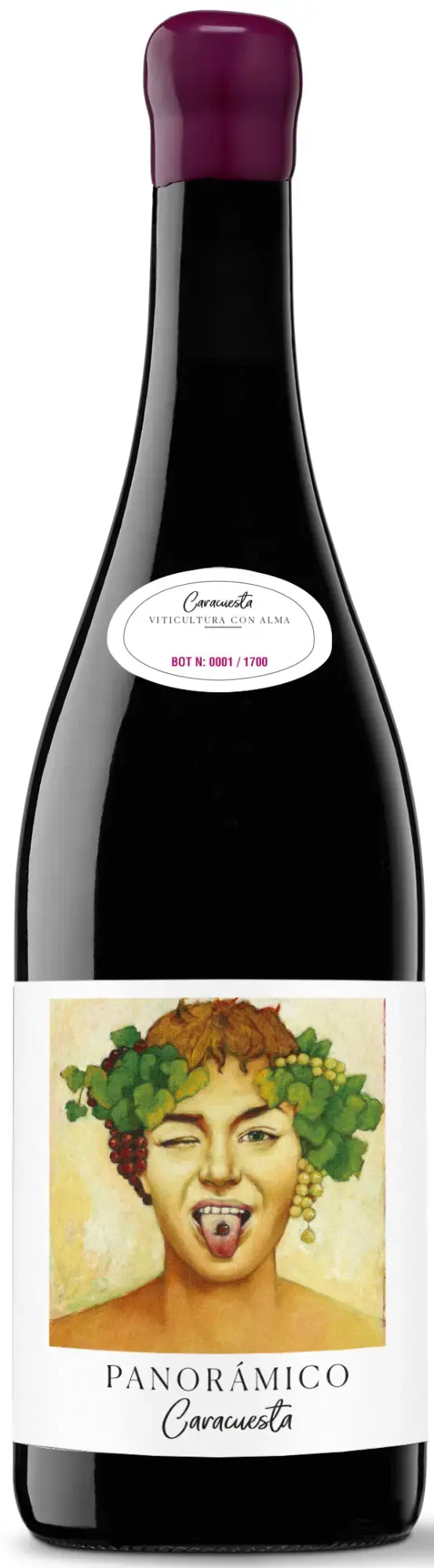Panorámico Caracuesta DOCa Rioja 2019 75cl