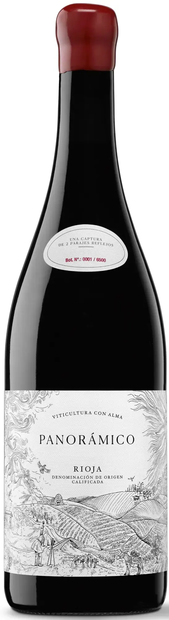 Panorámico Rioja DOCa Rioja 2020 75cl