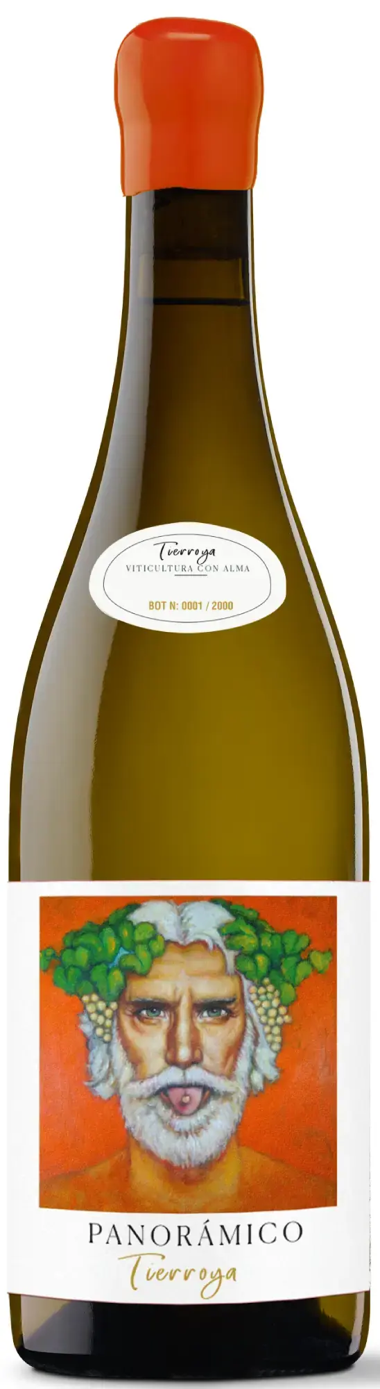 Panorámico Tierroya DOCa Rioja 2019 75cl